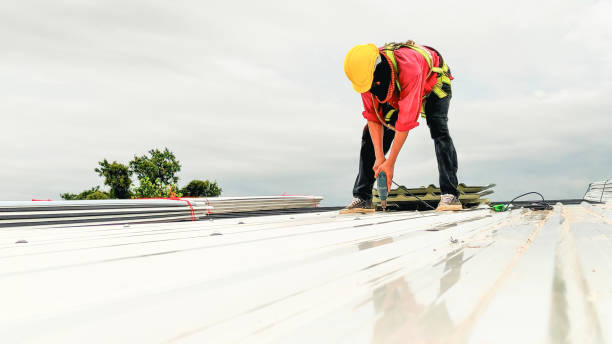 Professional Roofing Service in Lake Elmo, MN